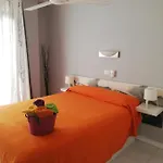 Appartement Flats &